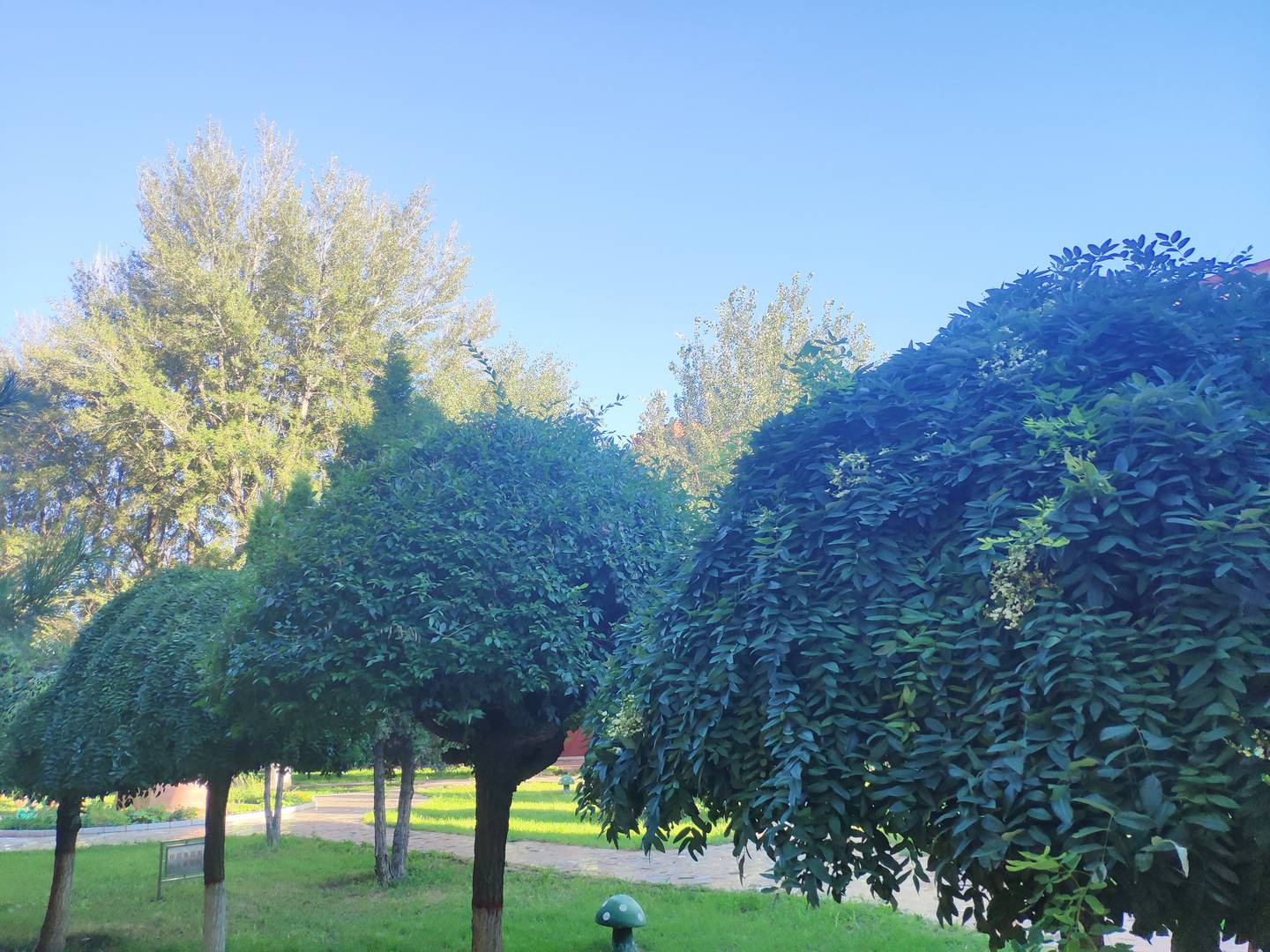 CF-554-2（未完待续）