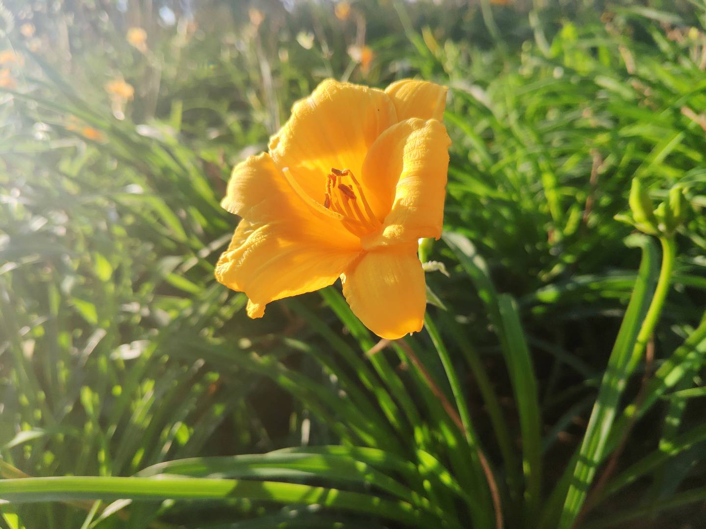 CF-559-2（未完待续）